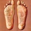 REFLEXOTHERAPY OF THE FEET